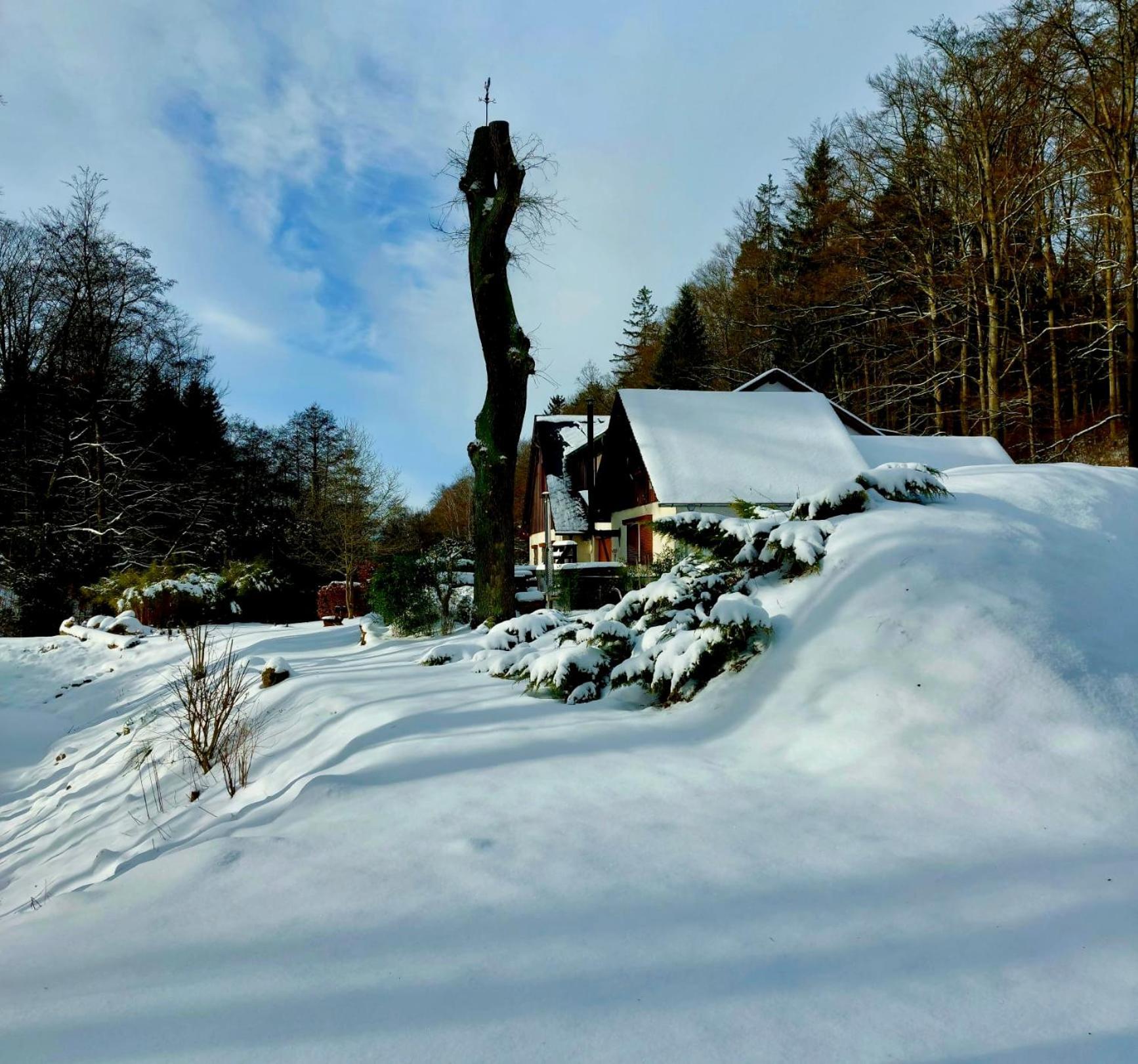 Jaegerhaus Privathaus Holiday home *